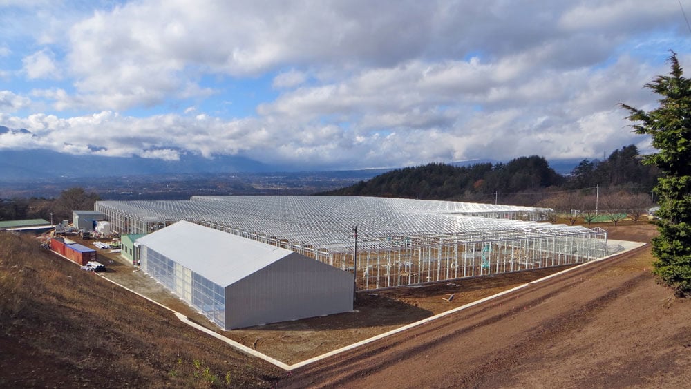 cam-venlo-sera-sistemleri-deneyim cam venlo sera sistemleri deneyim