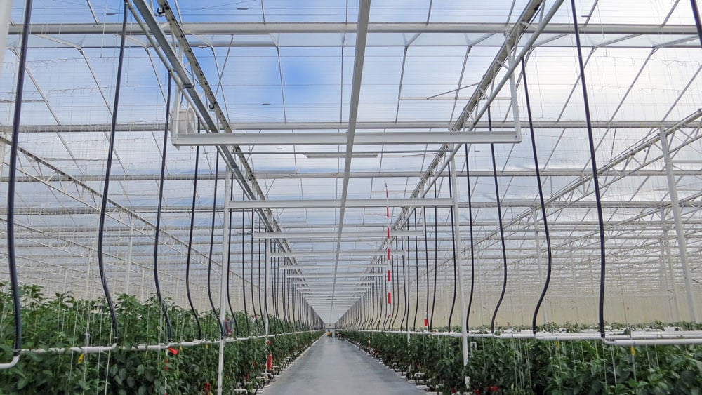 cam-venlo-sera-sistemleri-sulama cam venlo sera sistemleri sulama