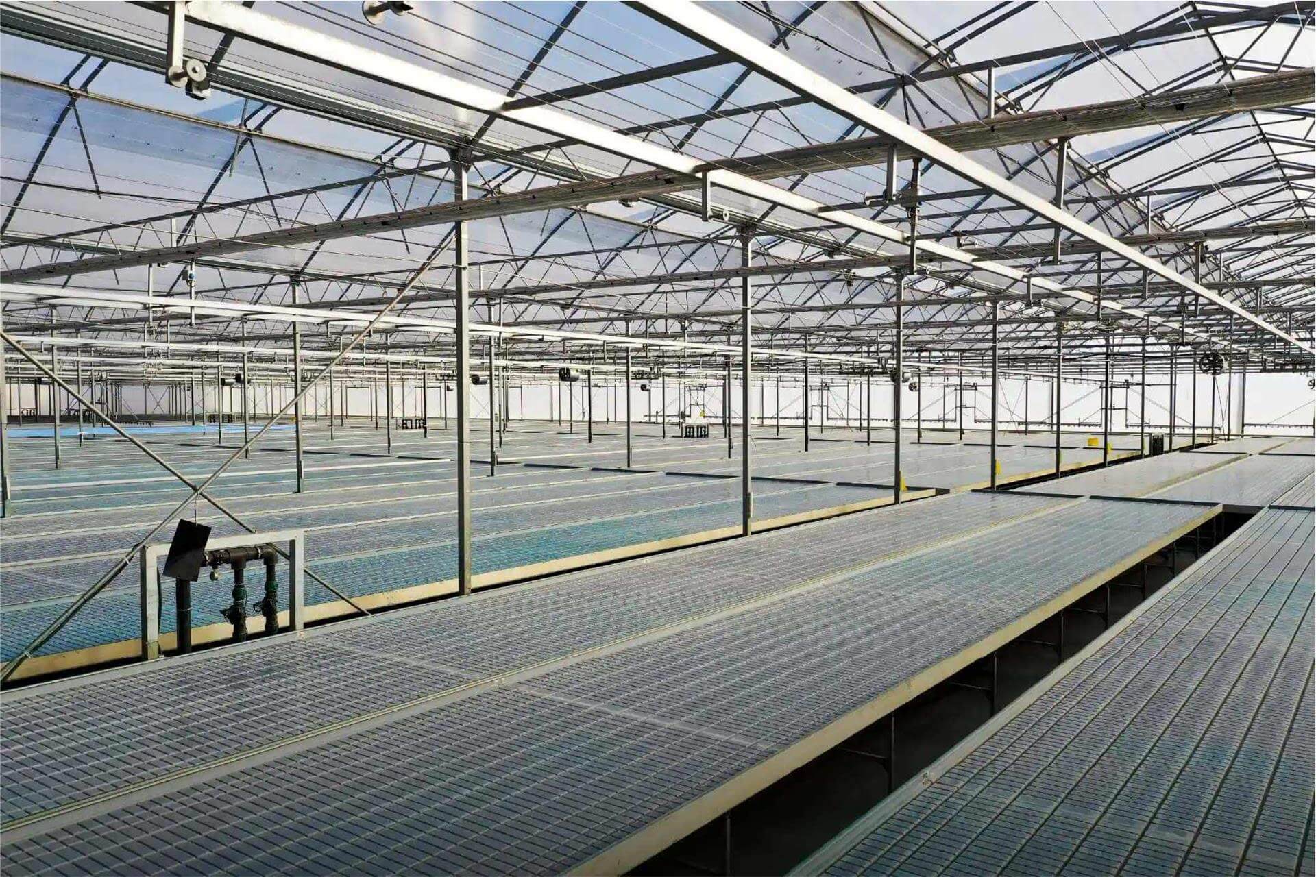 fidelik seralar gorunum