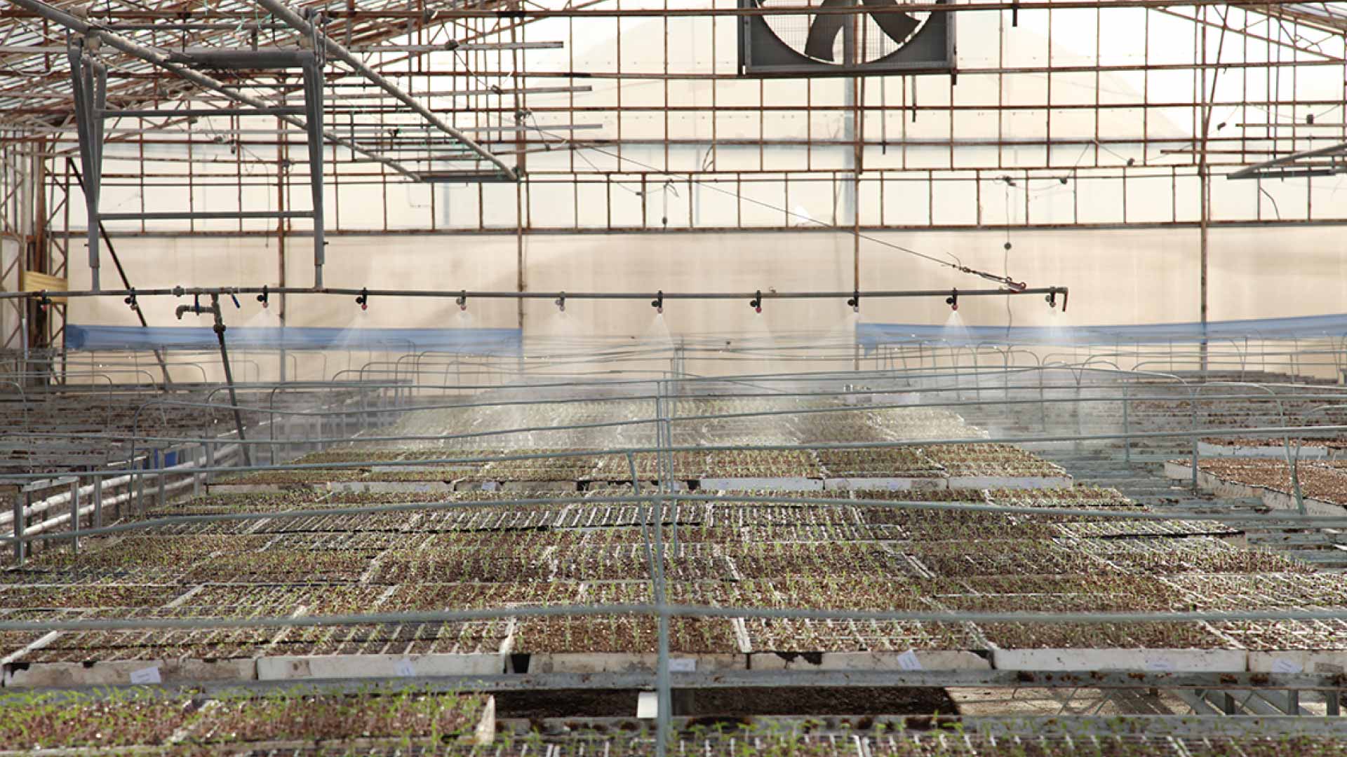 fidelik-seralar-sisleme fidelik seralar sisleme