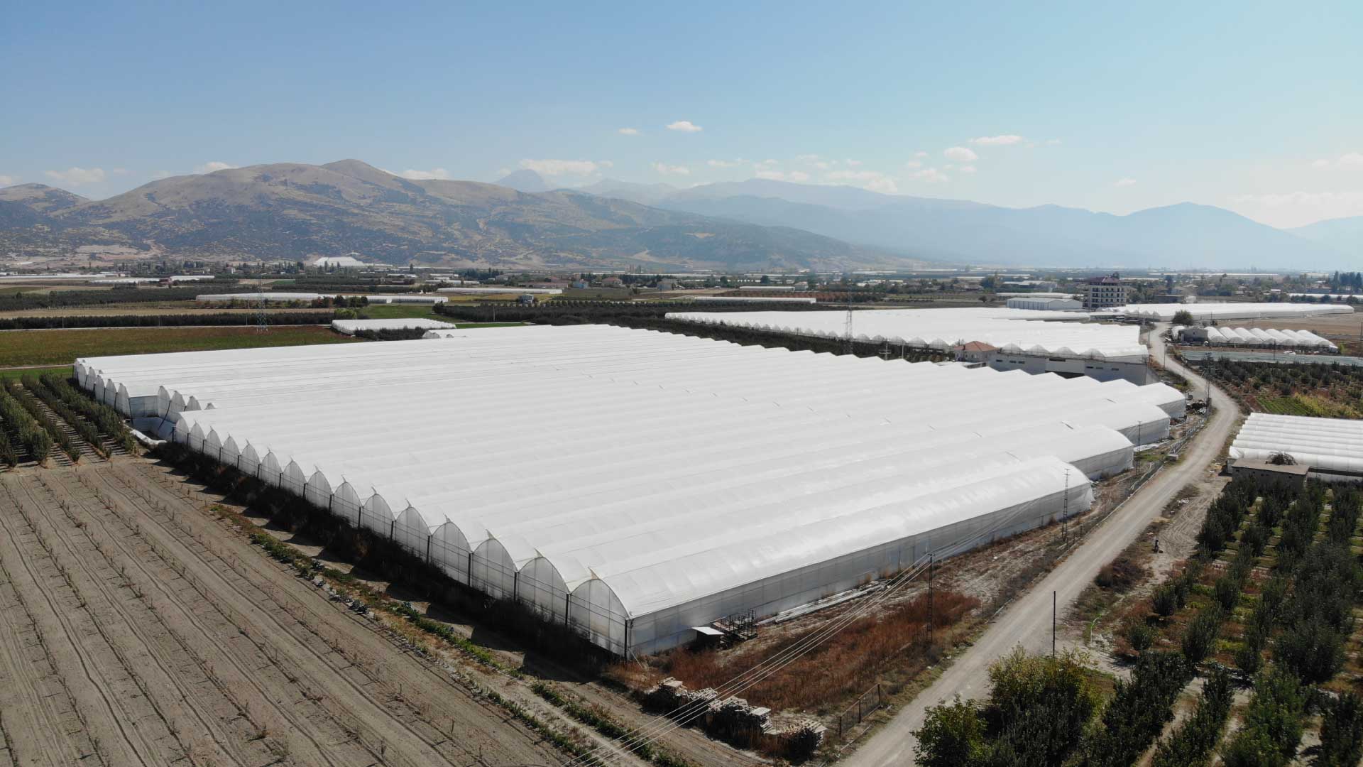 uretim-seralari-disgorunum uretim seralari disgorunum