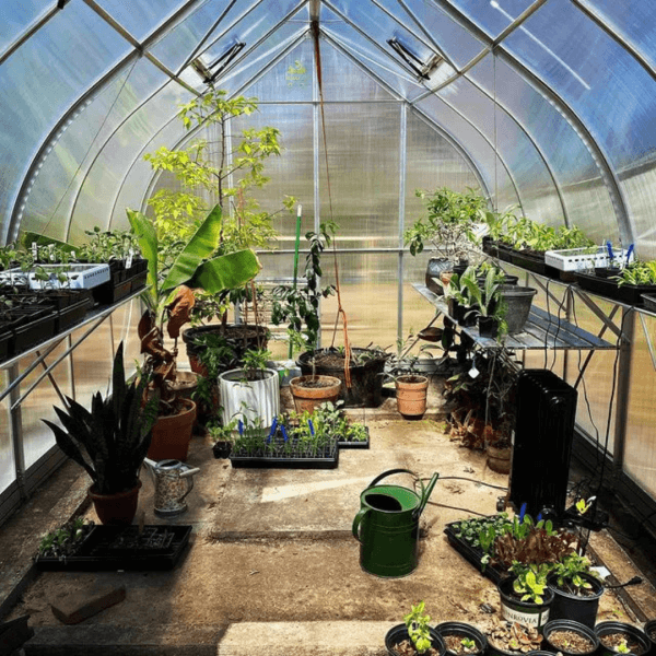 GardenSera – Yüksek Hacimli Demonte Hobi Serası - 9